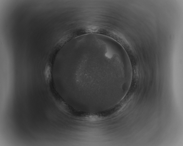 X0000101710598200807171537