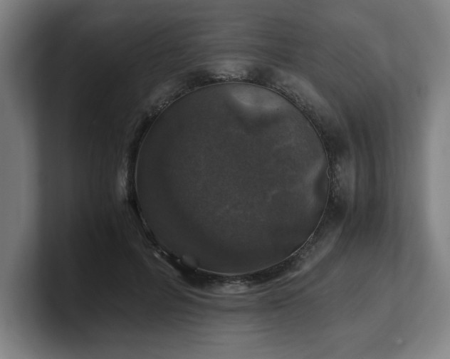 X0000101710600200807171537