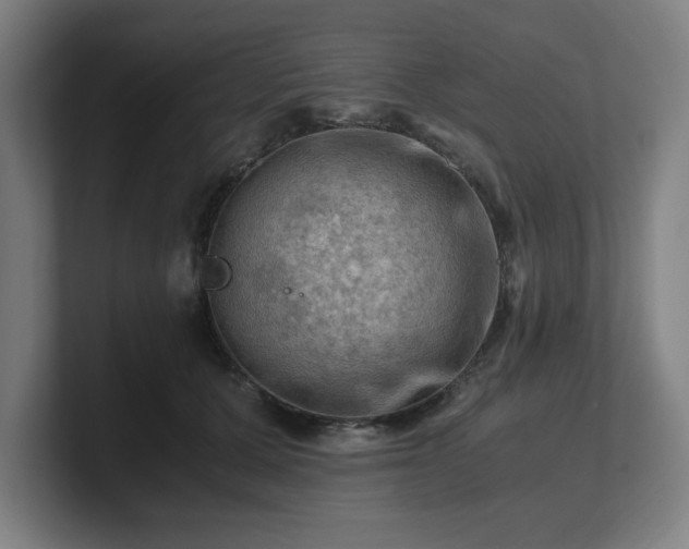 X0000101710607200807171537