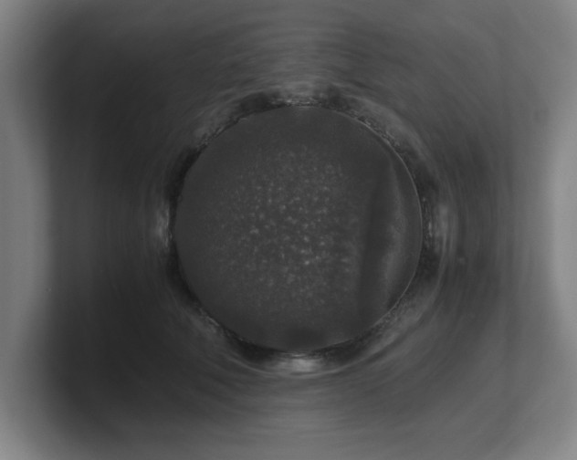 X0000101710610200807171537