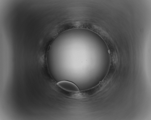 X0000101710611200807171537