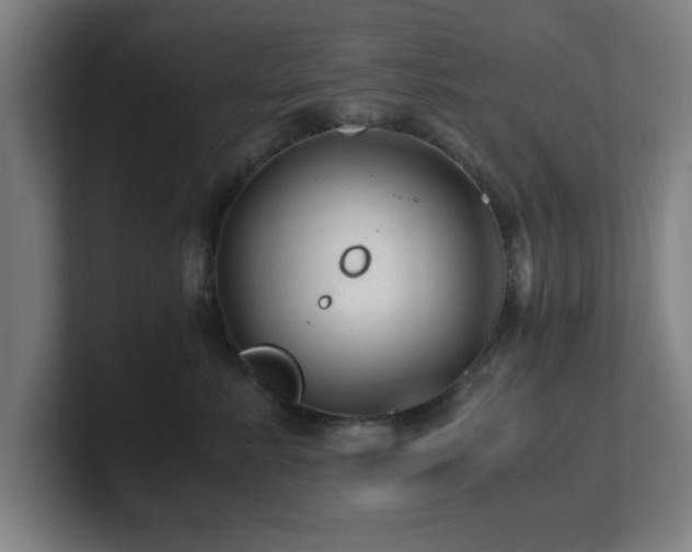 X0000101710619200807171537