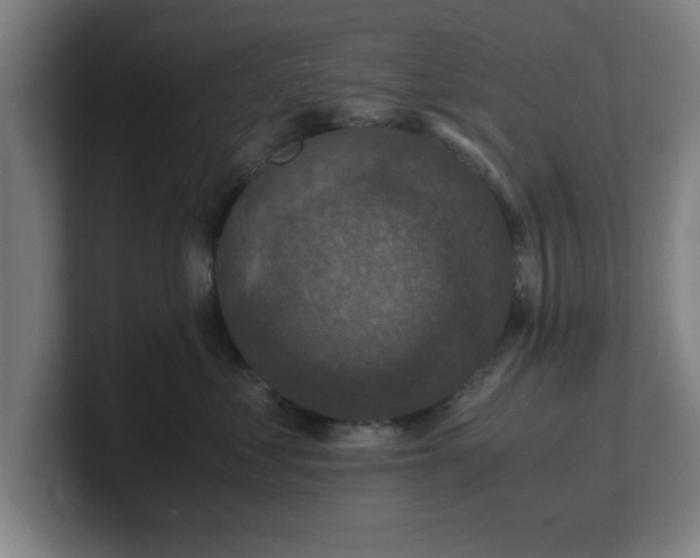 X0000101710621200807171537