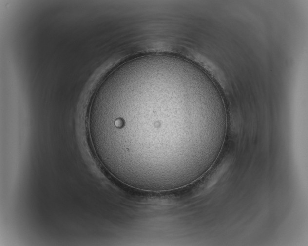 X0000101710625200807171536