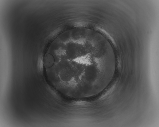 X0000101710637200807171536