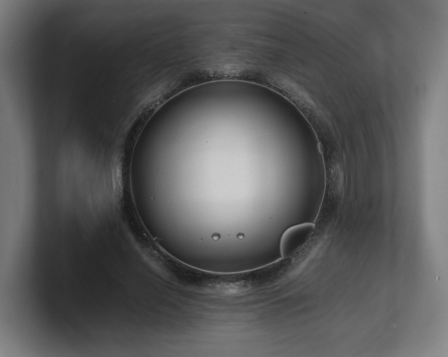 X0000101710638200807171536