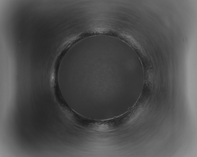 X0000101710640200807171536