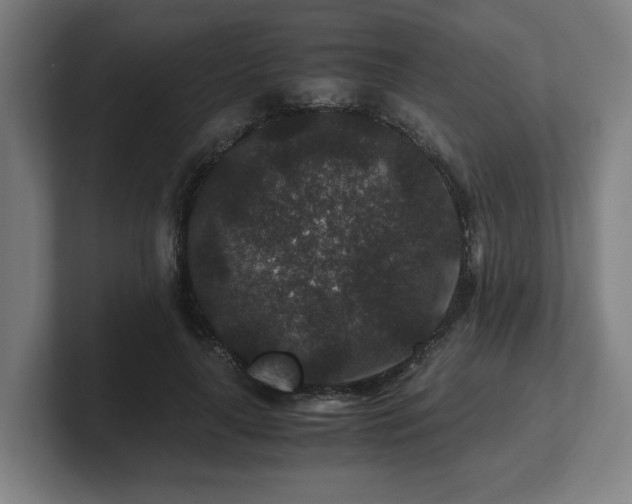 X0000101710643200807171537