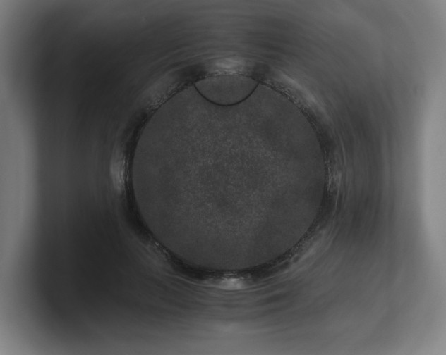 X0000101710647200807171537