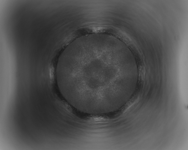X0000101710650200807171537