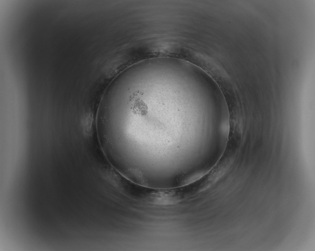 X0000101710660200807171537