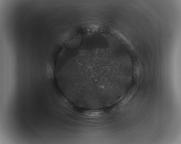 X0000101710661200807171537