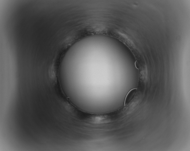 X0000101710662200807171537