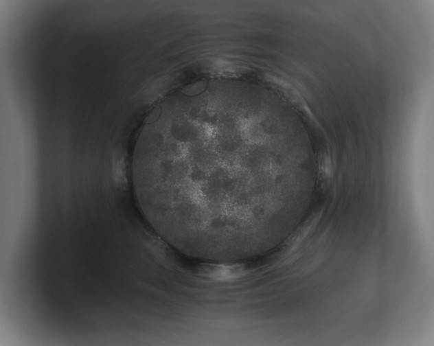 X0000101710663200807171537