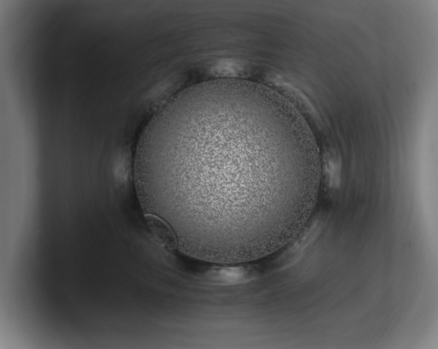 X0000101710665200807171537