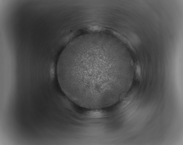 X0000101710668200807171537