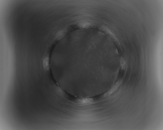 X0000101710670200807171537