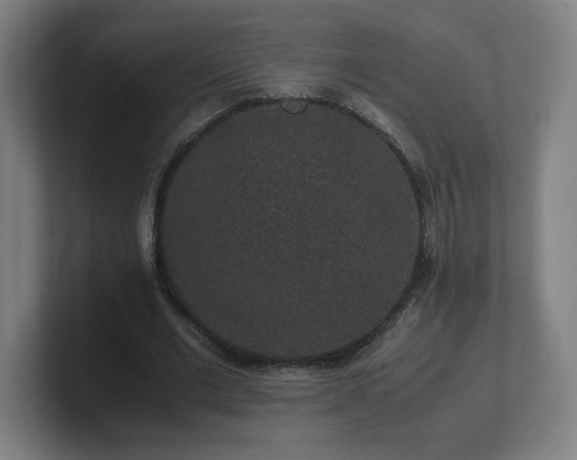 X0000101710677200807171536