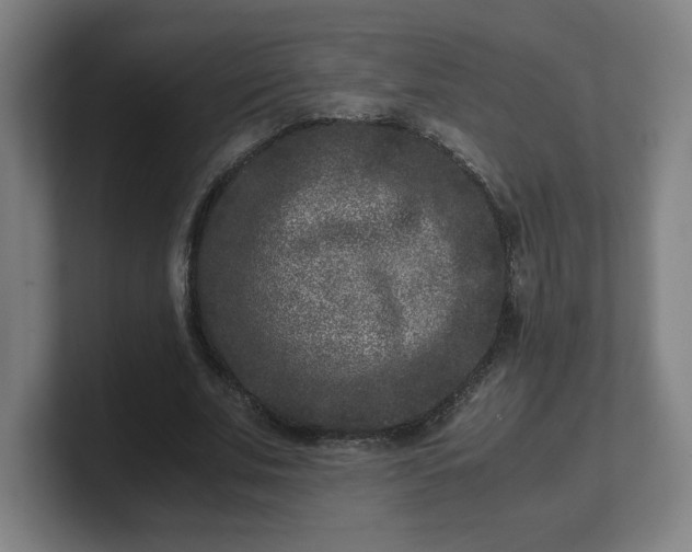X0000101710679200807171536