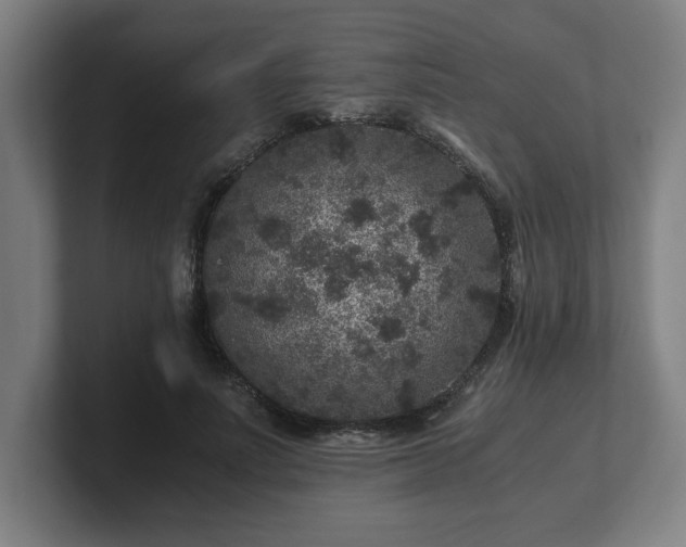 X0000101710691200807171536