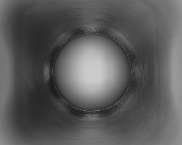 X0000101710694200807171536