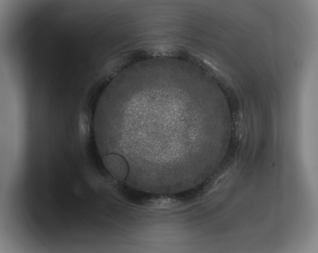 X0000101710695200807171536