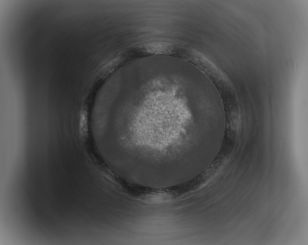 X0000101710696200807171536