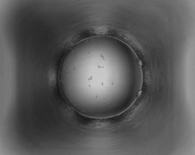 X0000101710697200807171536