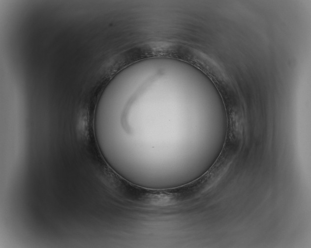 X0000101710698200807171536