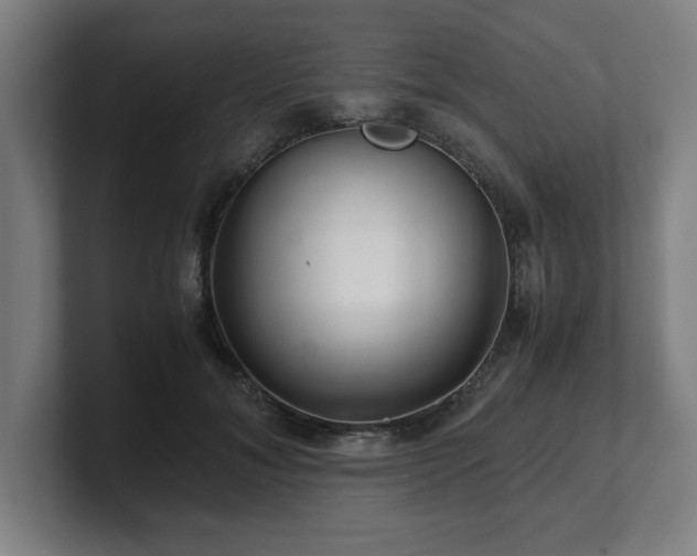 X0000101710700200807171536