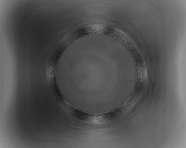 X0000101710701200807171536