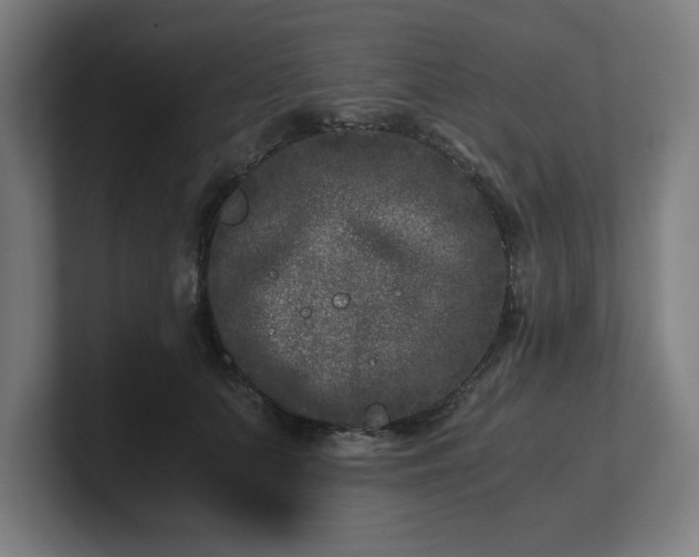 X0000101710703200807171536