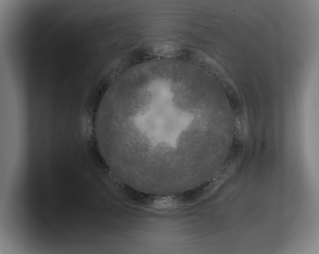 X0000101710705200807171536