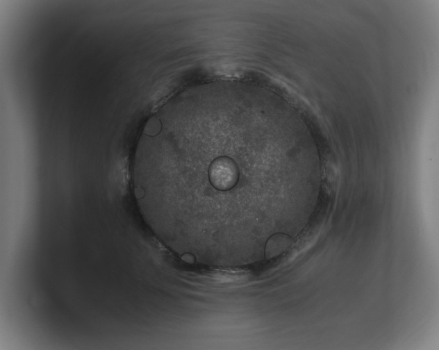 X0000101710707200807171536