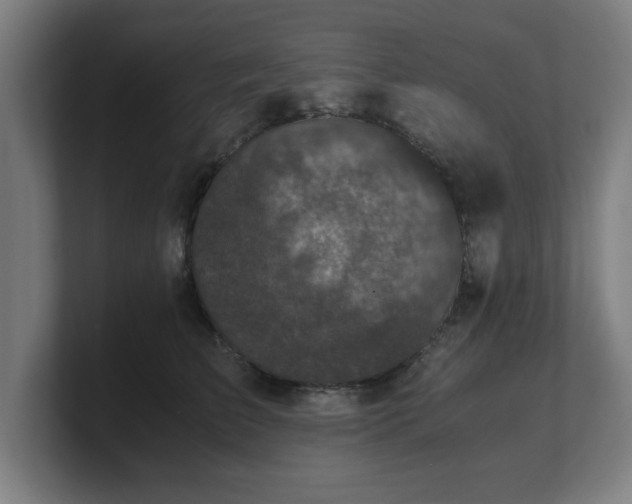X0000101710709200807171536