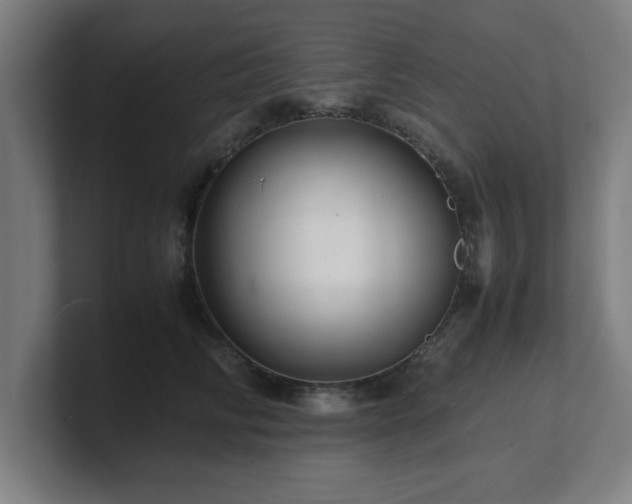 X0000101710710200807171536