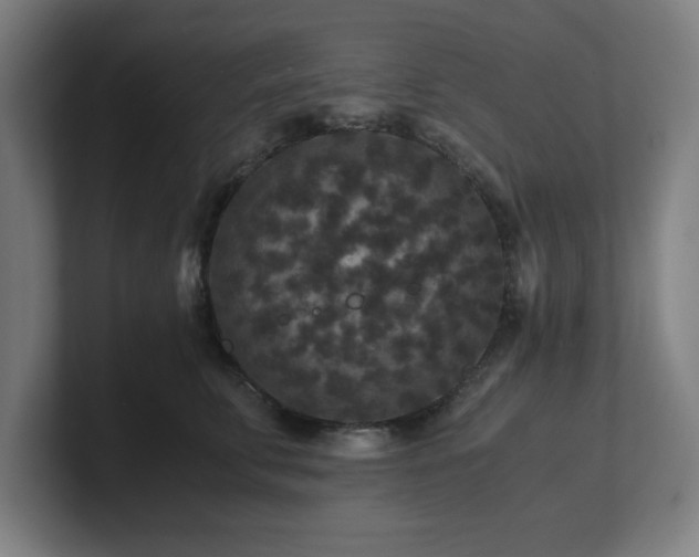 X0000101710711200807171536