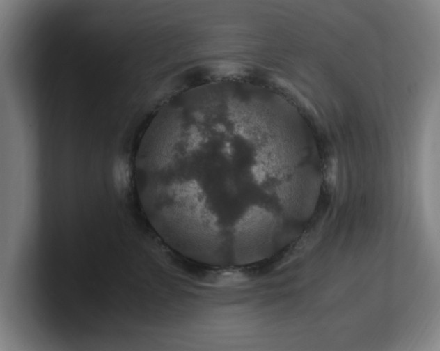 X0000101710715200807171536