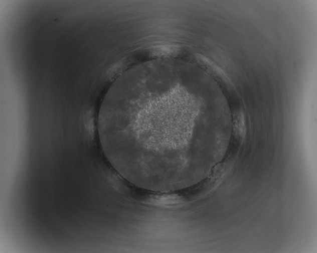 X0000101710716200807171536