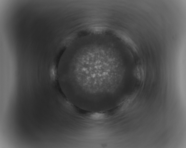 X0000101710718200807171536