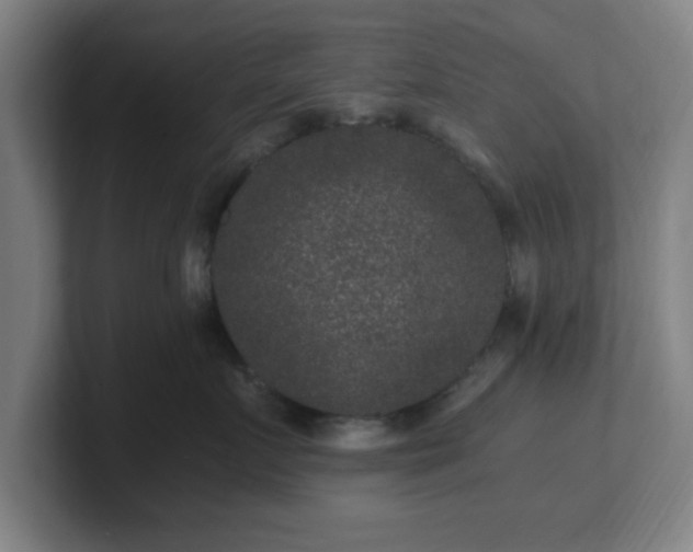 X0000101710719200807171536