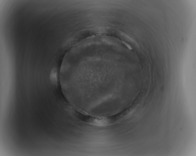 X0000101710720200807171536