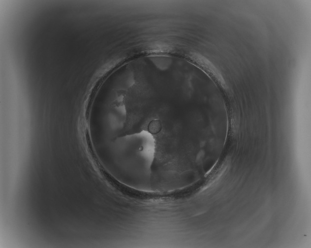 X0000101710721200807171535
