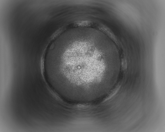 X0000101710725200807171535