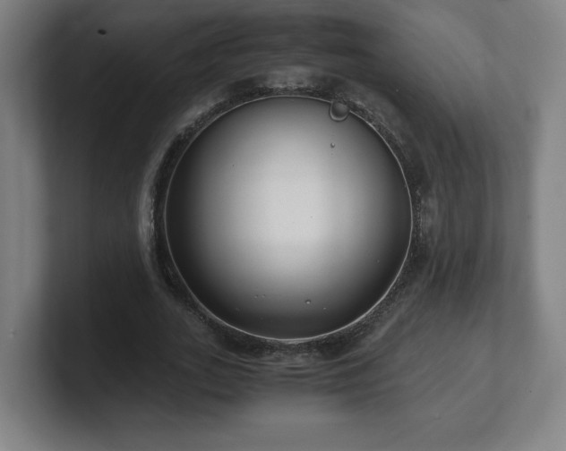 X0000101710727200807171535
