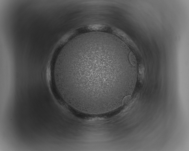 X0000101710734200807171535