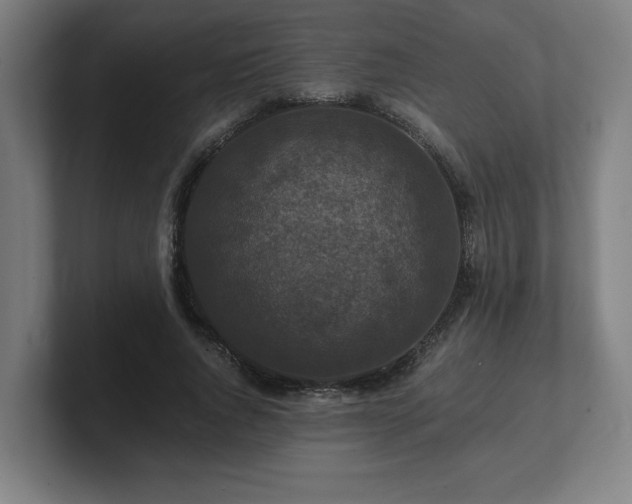 X0000101710736200807171535