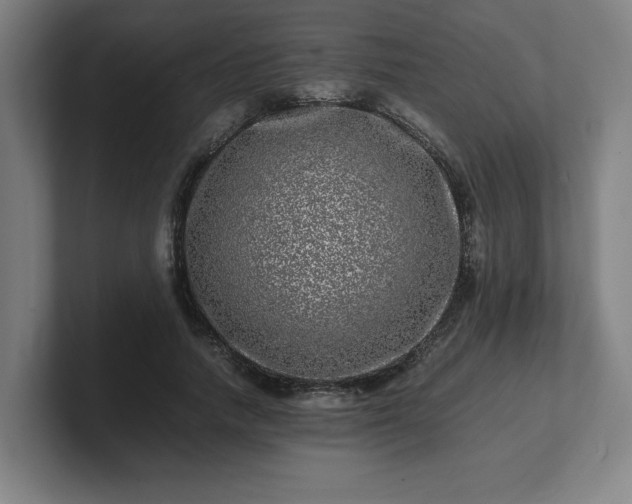 X0000101710738200807171535
