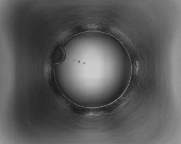 X0000101710739200807171535