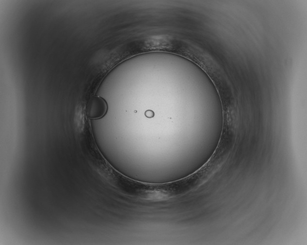 X0000101710741200807171535